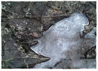 Foto: Erling Okkenhaug