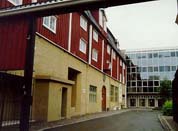 trond.jpg (6746 bytes)